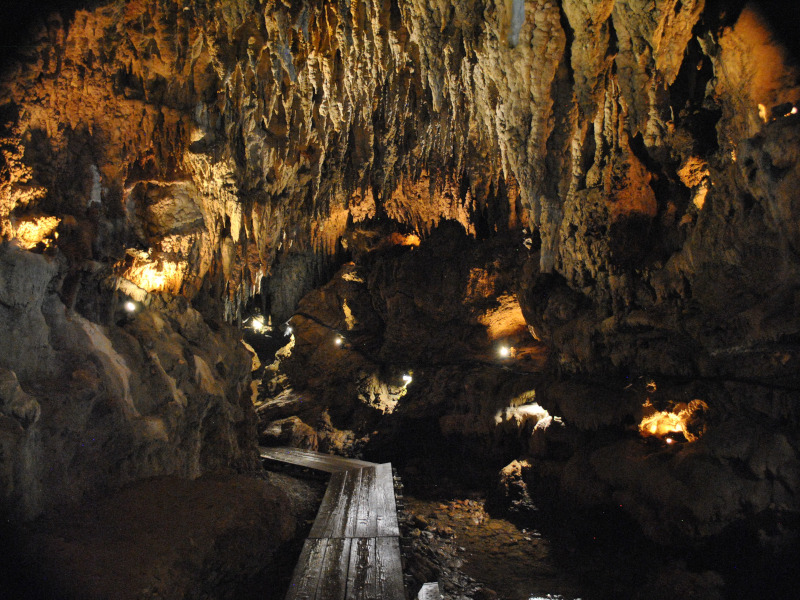 CAVE OKINAWA(鍾乳洞)