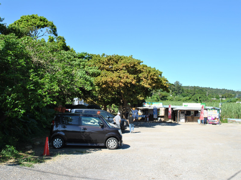 CAVE OKINAWA(鍾乳洞)