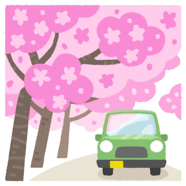 車と桜