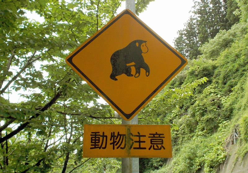 動物注意標識サル